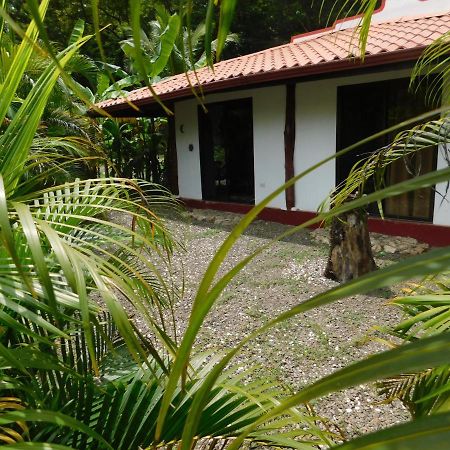 Villas Jungle 5 Sámara Eksteriør bilde