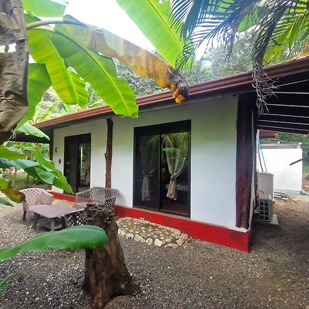 Villas Jungle 5 Sámara Eksteriør bilde