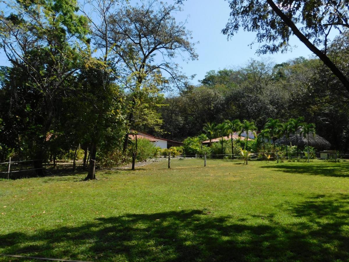 Villas Jungle 5 Sámara Eksteriør bilde