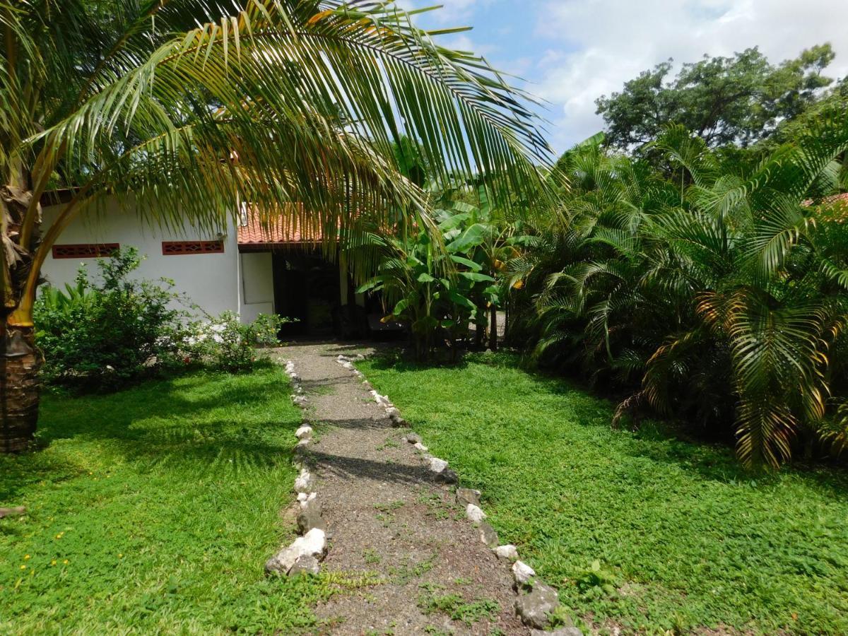 Villas Jungle 5 Sámara Eksteriør bilde