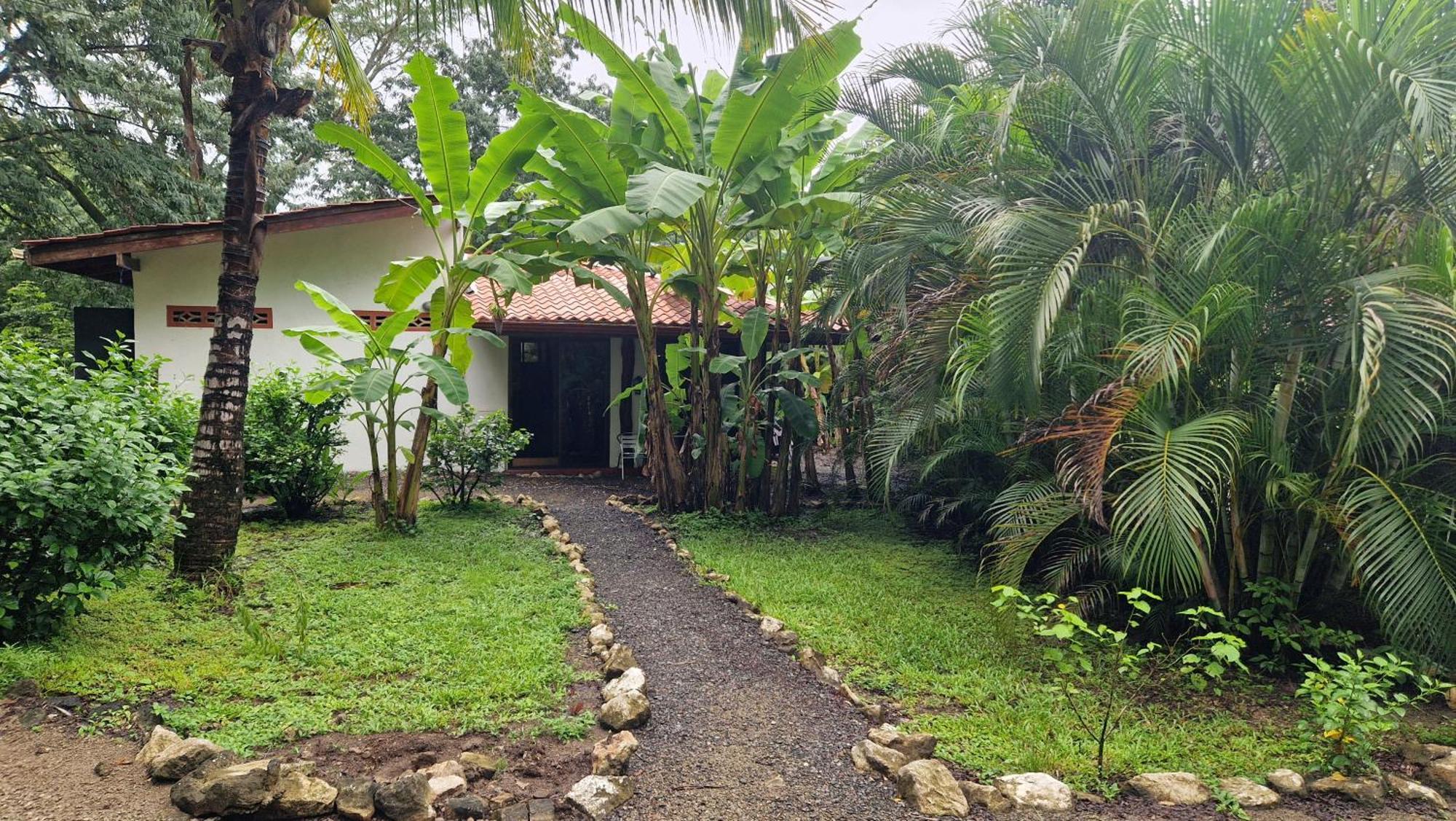 Villas Jungle 5 Sámara Eksteriør bilde