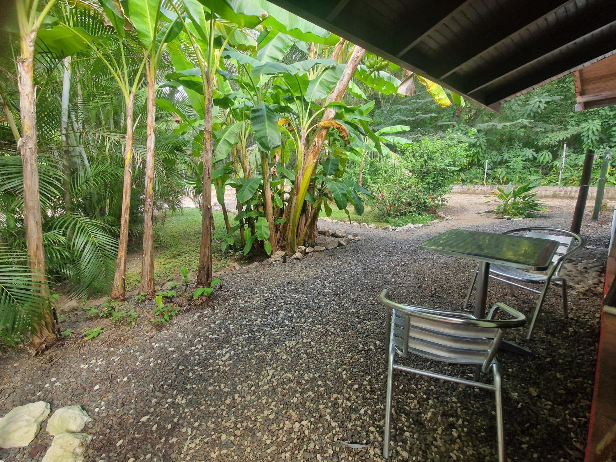 Villas Jungle 5 Sámara Eksteriør bilde